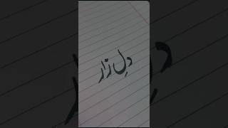 How to write Dil-e-zaar with a marker?