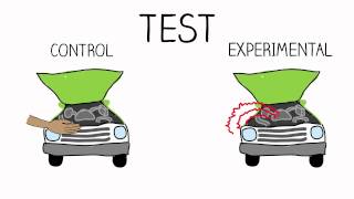 Research Methods: Experimental Design