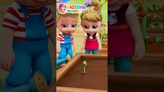 Red Tomato Wow Wow | Nursery Rhymes & Kids Songs | Kidzone Kingdom #babysongs #toddlersongs