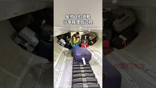 你知道吗？飞机货舱里有只小仓鼠在搬运行李 #飞机 #托运