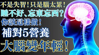 ✅【記憶力回春】醫師公開大腦逆齡術！2招提升睡眠＋5大營養素，幫你重拾清晰思路｜百歲人生的故事 ! 健康 #健康 #記憶力提升 #睡眠品質 #銀髮族保健 #百歲人生的故事