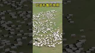 这是不是每个人都向往的生活？自由自在。