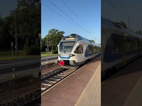 Morning with Stadler Flirt #máv#vasút#locomotive#railway#train#travel#hungary
