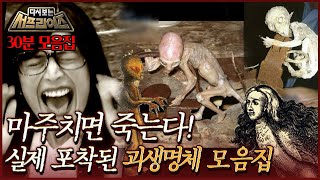 [다시보는 서프라이즈] 악마 혹은 마녀?! 지구상의 생명체와 일치하지 않는 괴생명체 모음집! MBC191006방송