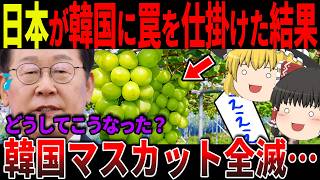 South Korea's Shine Muscat industry collapses... Japan's terrible revenge! [Zundamon & Yukkuri Co...