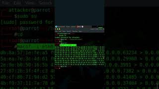 Unleashing MAC Flooding with Macof | Ethical Hacking Demo