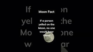 See the 3rd one. 😯 #shorts #amazingfacts #realfacts #moonfacts #factsdaily