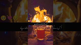 Nusrat Fateh Ali Khan Status #nfaklines #nfakstatus #nfaksuperhitstatus #nfak_shayari #ytshorts
