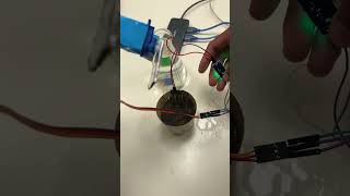 Y2025 Arduino Soil Moisture Sensing and Automatic Irrigation