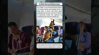 After 12 Years of Service, This Is How a Marine K9 Accepts Applause