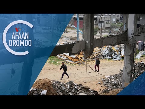 Lammiileen Isiraa’el Yaada Ofiitti Cichan Akka Gaazaa Laalhcisee Karoora Tiraamp Deggeran