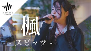 【歌うま】高校生とは思えない綺麗すぎる歌声に感動!! 楓 / スピッツ （Covered By 渡辺埜乃果）
