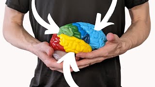 What happens when you become an expert
