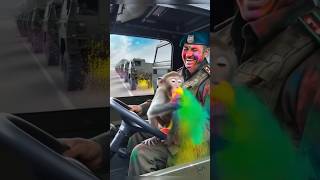 Monkey driving truck with army commando in Holi 2025 #shorts #holi2025 #holi #armytruck