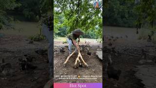 Multi-blade hoe! 🌿 A farmer’s clever tool for faster gardening #farmtools #smartfarming
