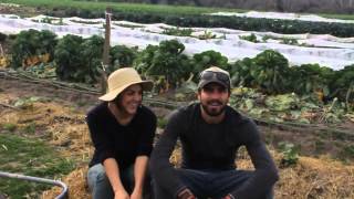 GrubMarket presents Happy Acre Farm