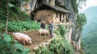 探访陕西悬崖上的独户人家，兄弟二人归隐山林20年，种地养猪过惬意养老生活 【乡村阿泰】