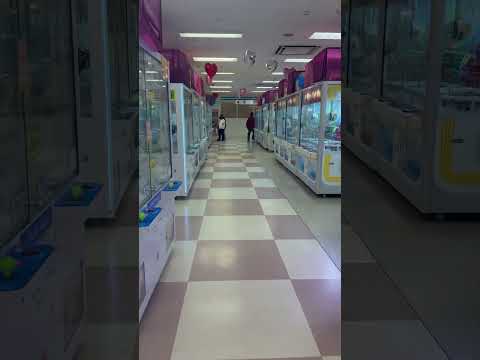 たむたむ