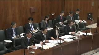 伊波洋一　会派・沖縄の風　4/13外交防衛委員会