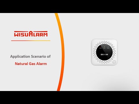 Natural Gas Alarm | Product | Wisualarm