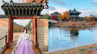 𝙨𝙚𝙤𝙪𝙡 𝙫𝙡𝙤𝙜 / 搬家前的首爾生活碎片🍂第一次吃土俗村蔘雞湯🍲在大雨一天去了景福宮看紅葉🍁+和台灣朋友去吃點點心