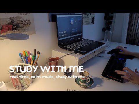 1 Hour Study With Me | Background Noise, Real Study, Rainy Day, Pomodoro