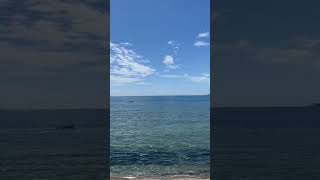 佐渡の海