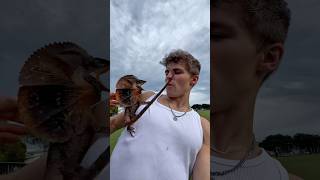 I GOT ATTACKED BY THIS LIZARD! #shorts