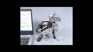 PiDog AI Robot Kit From SunFounder Now IN STOCK 01/2025