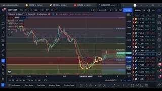 ocean usdt