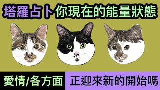4選1 塔羅占卜🔮 哪方面迎來新的開始❓你最近的能量狀態是什麼｜愛情/財富好轉❓