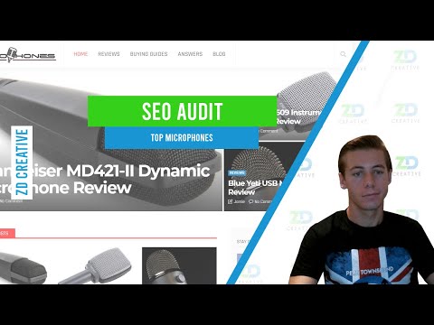 Top Microphones SEO Audit