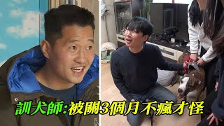 比特犬被主人關家裡3個月，終究成為惡犬，訓犬師哪怕遭到攻擊，都不認為是狗狗的錯