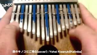 アフリカの民族楽器カリンバで「森のキノコにご用心」（スーパーマリオRPG挿入曲）を演奏しました。