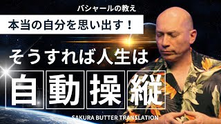 本当の自分を生きれば生きるのが楽になる！【バシャール】