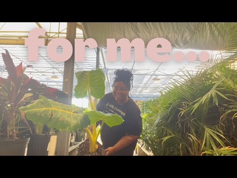 BIG BOX PLANT SHOPPING at Home Depot