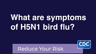 What are symptoms of H5N1 bird flu?