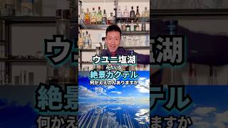 [Uyuni Salt Lake Cocktail] Uyuni Salt Lake [Singani Cocktail Introduction in 30 Seconds]