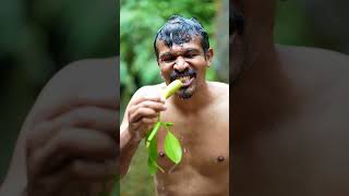Baby jackfruit