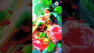🌺🕊️🦅|#surajcartoonvideo||#cartoonvideo|#cartoon|#2d3d|#2d3danimation|#funny|#2danimation|3danimation