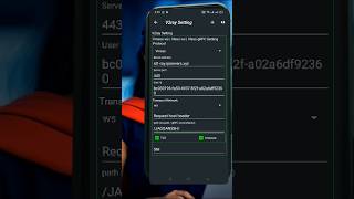 V2Ray Slow DNS Setup with ZiVPN  | Fast & Secure VPN Guide (2025)