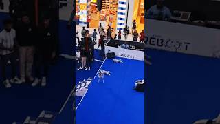 dog robot #waitfortheend #dogrobot dogrobot#robot#lullumall #shorts #reboot #robots