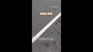 【全民打蟑螂】街道消毒蟑螂大暴走OAO #Shorts