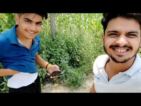 My First vlog  👨‍🔧🤪