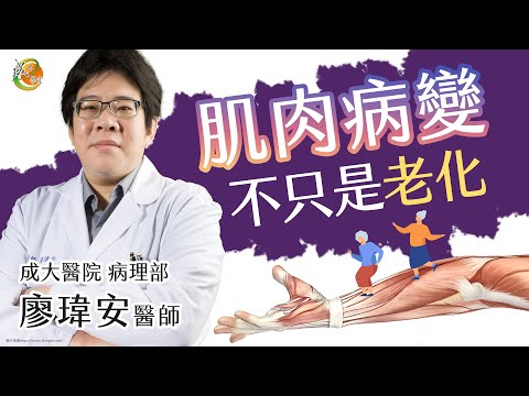 【成大醫院】成大e學堂 【肌肉病變不只是老化】 病理部 廖瑋安醫師