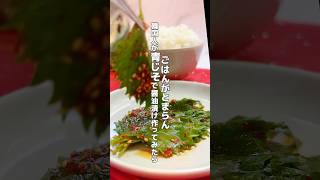 大葉の大量消費におすすめ