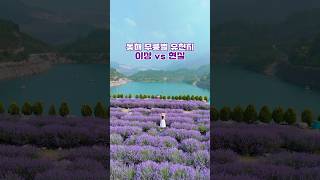 🔥🔥동해 무릉별유천지 이대로라면 다시는 안갑니다 #무릉별유천지 #동해가볼만한곳 #동해여행 #국내여행 #라벤더축제 #여행지 #주말여행 #여행영상 #윤슬여행
