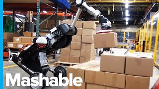 Boston Dynamics Robot is Now a Warehouse Worker