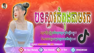 🛑បទកំពុងល្បីខ្លាំងក្នុង tik tok🎉 2023 2024 ReMix spy family MyC by MrKao Melody