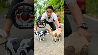 Rc Cow And Remote Control Camel Wala Unboxing😍